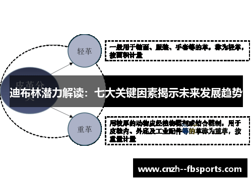 迪布林潜力解读：七大关键因素揭示未来发展趋势